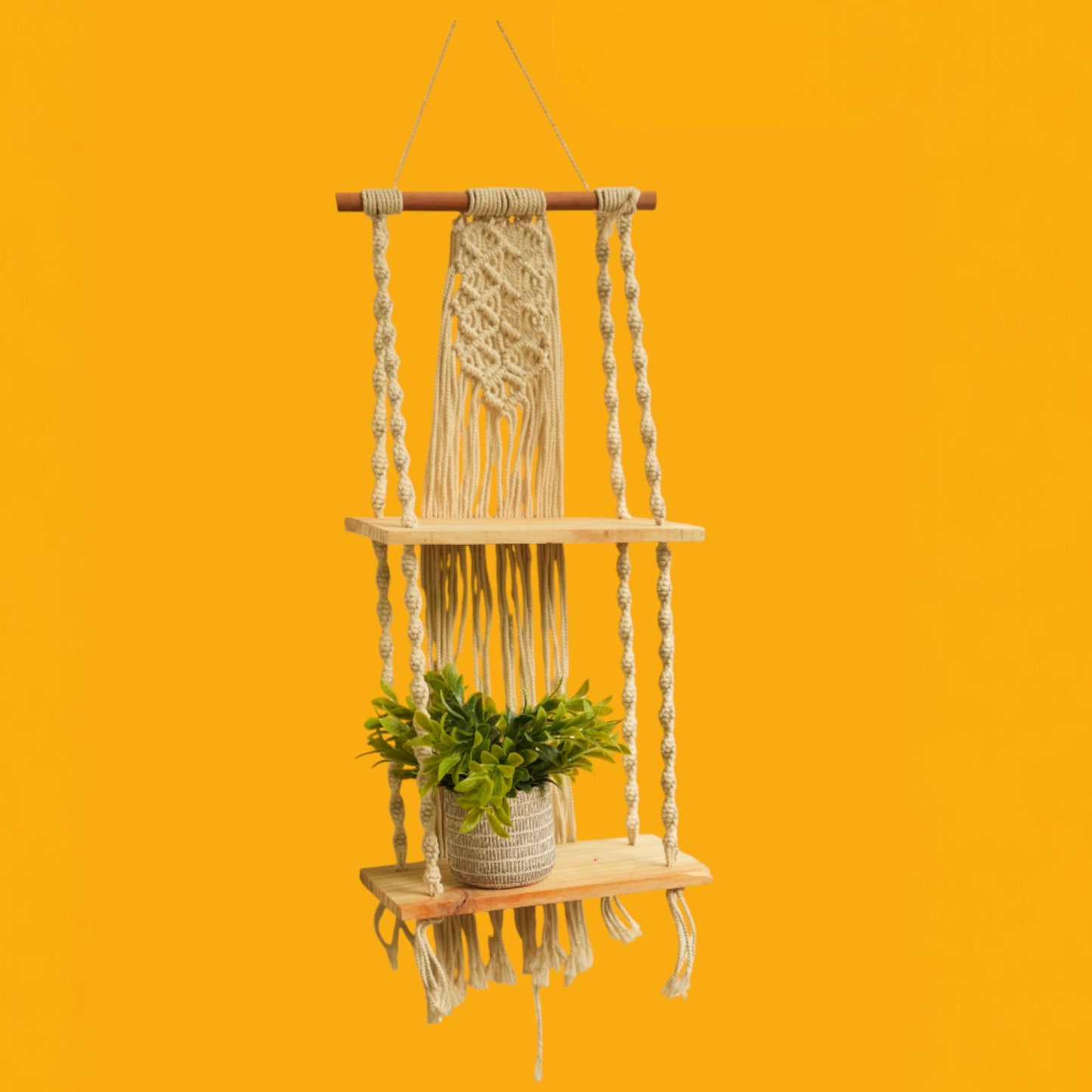 Macrame Plant Hanger