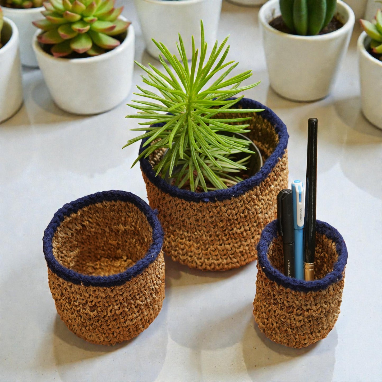 Plant holder (set of 3)