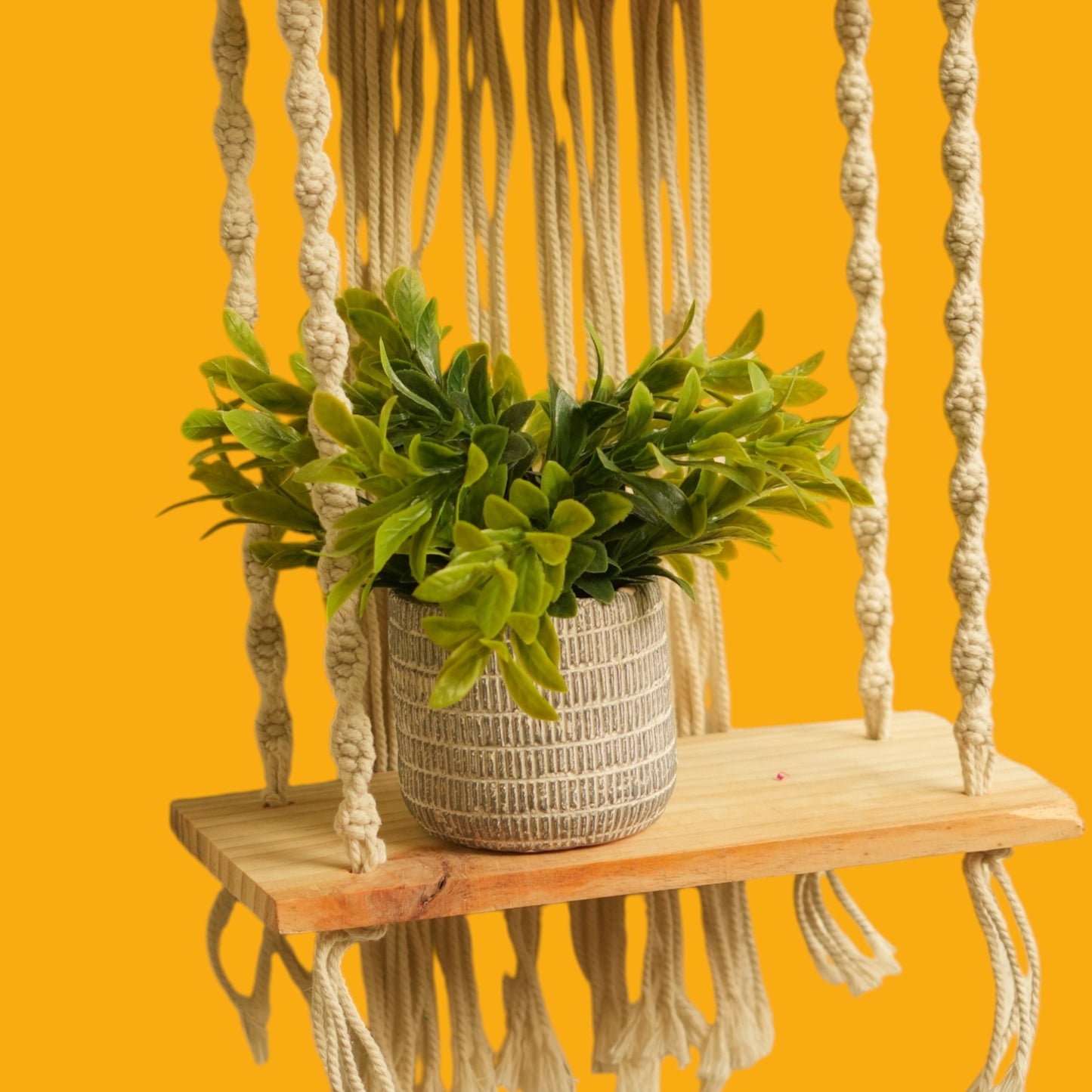 Macrame Plant Hanger