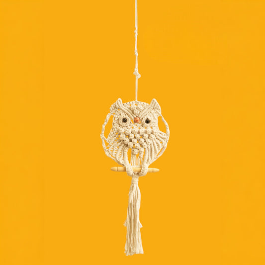 Owl Wall hanging (Set of 2pc)