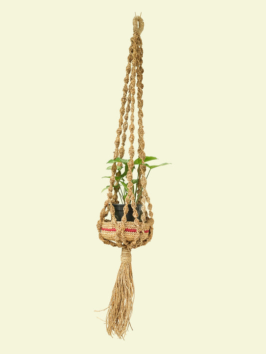 Plant holder with hanger